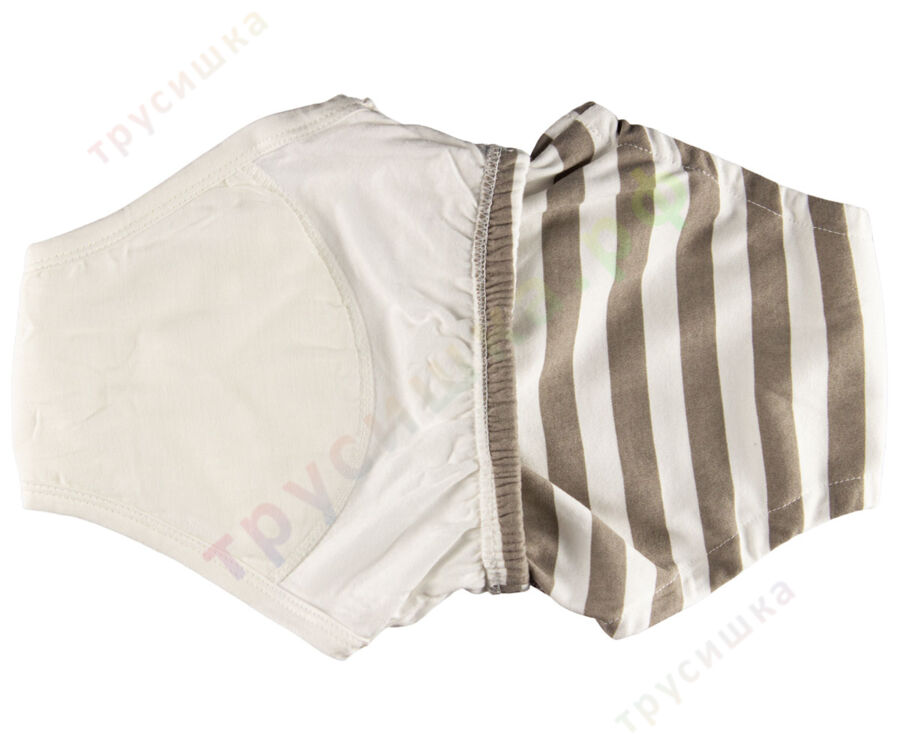 Трусики Joyo Roy двойные Полосатый кот (комплект 2 шт)
